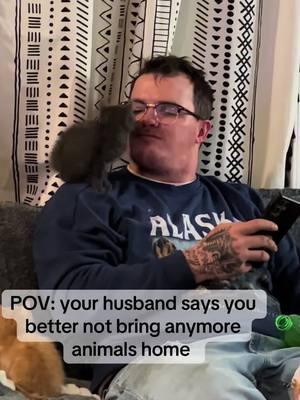 #catsoftiktok #husbandsoftiktok #marriedlife #animalloversoftiktok #funny 