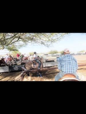 #gt4 #powerlinerainorshine #jackpot #arizona #blessed #fypシ #teamroping #reposted 