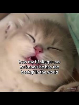 hes so loud urgh 🤕 #bf #gf #boyfriend #girlfriend #Relationship #relationshipgoals #relatable #couple #catmeme #ilovemygf #ilovemybf #cat #kitten #kitty #meow #cute #soulmate #husband #sleepycat #eepy #sleepingcat #snoringcat  