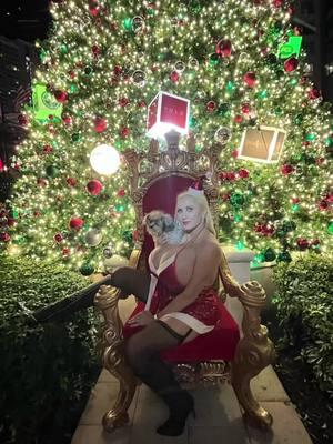 Happy Holidays! Who’s been naughty or nice This is the funniest song I’ve heard lately! @Hope Estrada #funny #silly #holidays #xmas #seasongreetings ##naughty##nice