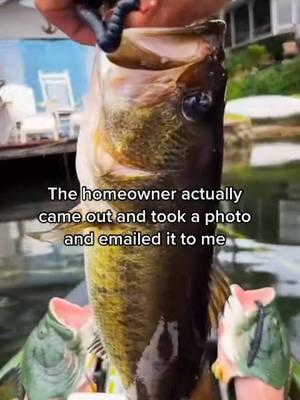 Sometimes homeowners can be nice. #onthisday #kayak #kayakfishing #kayakbassfishing #bassfishing #lake #lakefishing #largemouthbass #largemouthbassfishing #wormfishing #floridafishing 