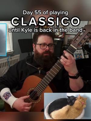 Day 55 of playing Classico until Kyle is back in the band Song: Classico by Tenacious D Arranged and performed on Classical Guitar by Nick Cutroneo #guitartok  #classicalcover  #classicalguitar  #classicalmusic  #classicalguitarist  #fingerstyleguitar  #fingerstyleguitarist  #fingerstylecover  #acousticguitar  #acousticguitarist  #acousticcovers #guitarmeme #guitarmemesdaily  #meme  #memestiktok  #memesong  #jackblack  #kylegass  #tenaciousd  #thepickofdestiny  #classico  #fyp  #xyzbca  #twitchtok  #twitchmusic  #twitchstreamer  #musicstreamer  #nickcutroneo  #guitarshreda  #tiktoklive  #livestreaming  #TikTokLegendNickCutroneo  #challenge  #duetme  #TenaciousNick  #tiktoklivespotlight #cattok #orangecat #blackcat #cuddlingcats