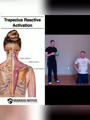 🔴 Trapezius Reactive Activation Video clip from the online course "Trapezius Activation": The course counts for 1 credit toward the Brookbush Institute certifications and is pre-approved continuing education. Watch the full video and take the course! Go to our profile 👉 @BrookbushInstitute Click on linkin.bio/brookbushinstitute Choose this image 🔵 Brookbush Institute offers: • Certified Personal Trainer (CPT) Certification • Human Movement Specialist (HMS) Certification • Integrated Manual Therapist (IMT) Certification • 180+ CEC-approved courses • Courses on desktop or mobile • 500+ videos & 500+ articles • New features and content added weekly! 🔴 Completing courses and certifications has never been easier, and the quality of courses has never been higher! #humanmovementspecialist #effectivetreatment #athletictrainer #correctiveexercisecertification #fitnesscertification #correctiveexercisespecialist #correctiveexercise #rehab #physicaltherapy #physicaltherapist #humanmovementscience #sportsmedicine #sportsperformance #posturecorrection #performancecoach