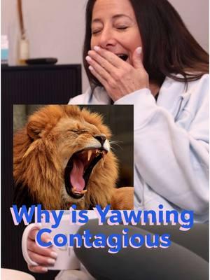 Why is Yawning Contagious?! #psychologistoftiktok #psychologist #darienzopsychology #drdarienzo #Relationship #fyp #therapy #psychology #relationshipadvice #darienzo #Love #trending #reels #instagood #tiktok #yawning