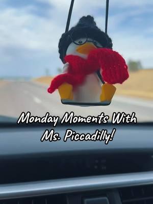 #fyp #foryou #fypシ゚viral #share #mspiccadilly #mspiccadillyandfriends #mondaymoments #mondaymomentswithdilly 