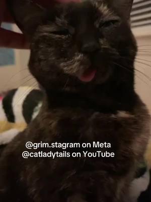 One month until the TikTok ban, please make sure to follow us elsewhere 😢 #catladytails 