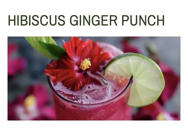 😋Mocktale suggestion for your festive celebrations!!!This drink strikes a harmonious balance between bright and bold flavors. Finished with a fizzy club soda and garnished with a slice of lime or a sprig of mint, the Hibiscus Ginger Punch is a refreshing, alcohol-free option that’s perfect for any occasion—whether it’s a holiday celebration, a Dry January gathering, or simply a moment of indulgence. If you would like the recipe, put RECIPE PLEASE in the comments section 🌺 Come grab your herbs, spices and flowers Today!!! #herbs #mocktales #spices #nonalcohol #alternative #healthydrink #olroshtx #followyourspirit 