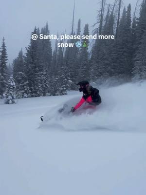 I promise ive been nice this year 🥲 also, here’s your reminder to follow me on I G @ peyton.penney   #backcountrysnowmobiling #polaris #klim  #colorado