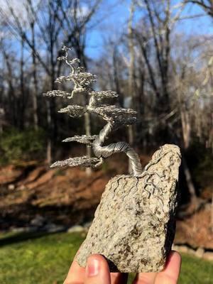 “Spiraling Ahead” Tinned copper wire on stone 8”x5”x3” SOLD🔴 This wire bonsai sculpture found a special new home! I have not created a piece in this particular style before, I hope you like it! My Holiday 20% OFF SALE is in full effect and people are taking advantage of it! ❤️🌲 Check out my website for my dwindling list of currently available works on sale until 1/1/25! www.wirebyryan.com #natureart #localartist #wiretreeart #wire #wiresculpture #metalartist #metalart #metalsculpture #wiretree 