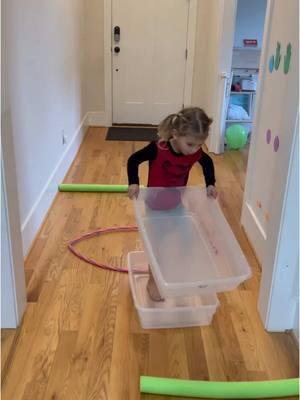 Floor is Lava 🌋 Cross the hallway and try not to touch the floor (because it's lava) and avoid the obstacles.  🌟 Safe zone= inside the hula hoop! 🌟  All you get are two containers... ready, GO! #sprinkleinlearning #floorislava #gamesforkids #kidsgames #kidsactivities #kidsactivity #kidactivities #kidactivity #timetoplay #kidsgame #activityforkids #indoorplay #activityforchildren #activityfortoddlers #grossmotor #grossmotorskills #grossmotoractivities #timetoplay #learningthroughplay #learnthroughplay #preschoolactivities #preschoolplay #prekplay #simpleactivities #simpleplay #playideas #activityideas #activities 