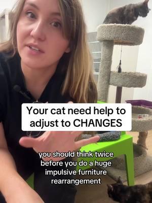 Help your cat deal with changes with these three tips 🐱✨ #tiptalk #tiptok #tipsforcatowners #catownerhelp #catproblems #catsoftiktok #catstress #catanxiety #catbehavior #catissues 