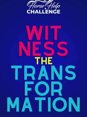 🎉Sign up for our Horse Help Challenge to see the improvements you've been waiting for! Strengthen your bond with your horse and tackle any obstacles together. Sign Up Here ➡️ www.horsehelpchallenge.com ✨ #horse #horsehelpchallenge #horsetraining #horseproblems #ridinghorses #MGHorseGuru #horsehelp