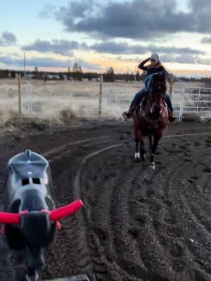 Chase your dreams #L4roping #l4ropingproducts #teamroping #cowboy #nfr 