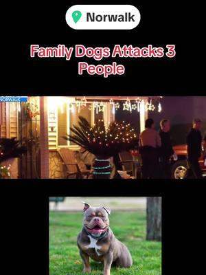 Norwalk, Ca. Family Dog attacks 3 people . #familydog #americanbulldog #bulldog #dogsoftiktok #sad #norwalkca #familygathering 