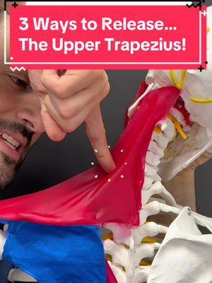 If you’ve been dealing with headaches, neck pain, dizziness, or jaw discomfort, tight upper trapezius muscles might be adding to your symptoms. These muscles are directly connected to your neck, shoulders, and skull, so tension here can spread pain to other areas. 🎥 In this video, I’m showing you 3 ways to stretch and release your upper traps to help ease discomfort. While these stretches can provide relief when this muscle is the actual source of pain, they don’t address why it’s tight in the first place. Often, posture, compensations, or stress patterns are the root cause. 💡 Use these stretches to feel better in the moment, but don’t forget: to fix the bigger picture, it’s all about uncovering and addressing the underlying reasons for the tension!  #trapezius #neckpain #neckpainrelief #neckpaintreatment #tmjdisorder #tmj #tmd #shoulderpain #shoulderpainrelief #headaches #headacherelief #dizziness #vestibularmigraine 