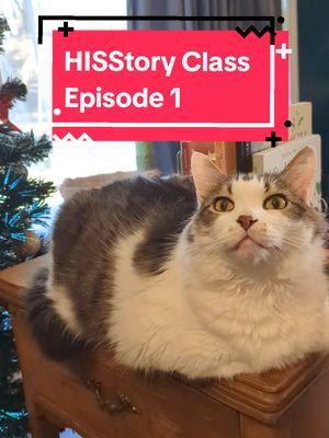 historical cats ft the first ever (recorded) named cat from ancient Egypt please forgive my pronunciation hieroglyphs don't have vowels and I'm not an ancient Egyptian despite my 23&me trace ancestry results #cats #cattok #history #cathistory 