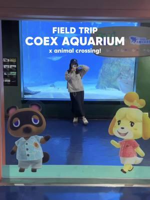 FIELD TRIP to @COEX AQUARIUM 코엑스 아쿠아리움 to see the Animal Crossing aquarium! #aquarium #coexmall #animalcrossing #animalartist #marineanimals #seacreatures 