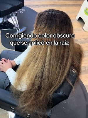 Mis amores ustedes no son coloristas, recuerden estamos hablando de químicos y por eso se dañan sus cabellos. 🫶🏻 Busquen un profesional. 🙏🏻🩷 #colorista #estilista 