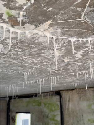 During a home inspection of a 1957-built house, I found these stalactites forming under the plumbing. This is a sign of mineral buildup from a slow, consistent water leak—common in older homes with aging pipes. Issues like these may seem minor but can lead to bigger problems if left unchecked. Regular inspections can catch these hidden concerns early. Serving Greensboro, Raleigh, Durham, and surrounding areas since 2007—visit www.homespectors.com for trusted inspection services. #HomeInspection #Stalactites #GreensboroNC #RaleighNC #DurhamNC #PlumbingIssues #1957Home #OlderHomes #HomeInspector #WaterLeaks #HomeMaintenance #NorthCarolinaHomes #InspectionMatters #RealEstateTips #HomeSafety #HomeSpectors #GreensboroRealEstate #DurhamHomes