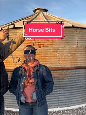 I know those sounds from a mile away…  #horsetack #horsebit #snafflebit #horsebackriding #horsejokes #westernriding #englishriding 