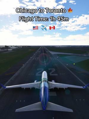 Flight From Chicago to Toronto 🍁🇺🇸 #aviation #aviationlovers 