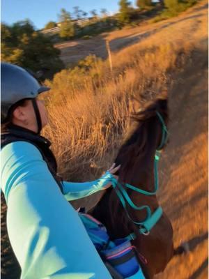 #pasofino #awkard #trialride #trailhorse #bitless #horse #horseback ##sunset 