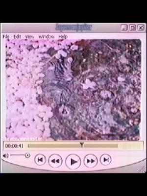 Network version 🌠 #jayceeonjupiter #network #pinkpantheress #pinkpantheressedit #cockatiel #vhs #vhsedits #cockatielsoftiktok #cherryblossoms #★彡 #★彡 #oldweb #xcyzba #fypシ #windowsxp #fypシ #★★★ 