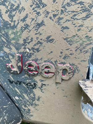 Can’t a girl just want to play in the mud?   #jeep #jeepfam #messy #tiktokban #minnesota #jeepgirl #jeepsoftiktok #jeepwrangler #fyp #fypjeep #fypシ #trend #JEEP #jeeprubicon 