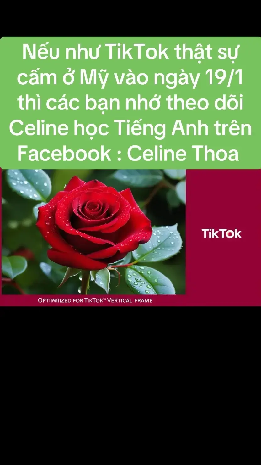 Học Tiếng Anh với Celine#viralenglish #englishteacher #celinethoay 