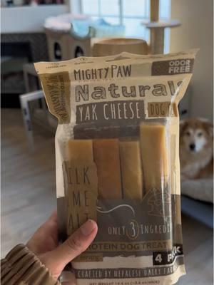 Anyone else have dogs that eat treats like they’re a shark? 😂 #dogtreats #yakchews #mightypaw #yakcheesechew #spoileddog #treatyourpet #holidayhaul #tiktokshoppetfinds  