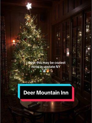 The best for cozy winter vibes 🎄☃️🧸🔥 #deermountaininn #catskillsny #catskills #catskillsmountains #upstateny #upstatenewyork #weekendgetaway #cozyvibes #nycchristmas #newyorkchristmas #nycdateideas #huntermountain 