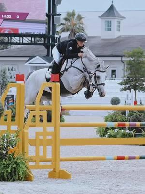 Flora 🤍 throwback to her in the FEI2* 1.45 placing 6th 💕 #ocalaflorida #horsesoftiktok #horsegirl #internationalshowjumper #fypシ゚viral #worldequestriancenterocala #horsesoftiktok🐴 #fyp #2024season 