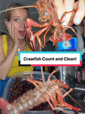 LETS CLEAN & COUNT sum CRAWFISH 🦞 #crawfish #crawfishboil #howtocookcrawfish #howtocleancrawfish #viral #cooking #Recipe Purging crawfish, cleaning crawfish, crawfish boil, crawfish boil recipe, seafood boil recipe, crab boil, how to do a crab boil, boiled shrimp, how to boil crawfish, crawfish prep, preparing crawfish, clean seafood, crawfish seasoning, seafood boil prep, crawfish boil ingredients, seafood boil steps, perfect crawfish boil, boiled crab, shrimp boil, crab boil recipe, how to boil shrimp, boiled seafood, Louisiana crawfish, southern crab boil, Cajun crawfish boil, shrimp boil recipe, seafood cooking, crawfish boil hacks, crab boil seasoning, shrimp boil seasoning, seafood boil spices, seafood boil tutorial, backyard seafood boil, crawfish boil essentials, seafood boil must-haves, purging live crawfish, seafood boil cleaning, shrimp boil tips, crab boil instructions, seafood boil guide, Cajun seafood boil, crawfish boil success, boiled seafood how-to, seafood boil perfection, southern seafood traditions, seafood boil techniques, seafood boil menu, crab boil party, crawfish boil checklist, shrimp boil how-to, crawfish dipping sauce, crawfish boil must-know, seafood boil pot setup, seafood boil methods, crab boil pot, how to boil crab, crawfish boil tips and tricks, seafood boil sides, perfect seafood boil, crawfish boil flavor, crawfish boil tradition, boiling shrimp guide, seafood boil process, Cajun shrimp boil, crab and shrimp boil, seafood boil extras, southern-style seafood boil, crawfish boil menu ideas, easy seafood boil recipe, boiled seafood seasoning, crawfish boil setup, seafood boil crowd-pleasers, seafood boil for beginners, how to season seafood boil, authentic seafood boil