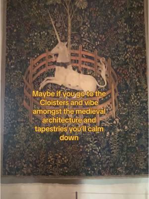 Idk where that golden flash came from and tiktok wont let me edit it out #medieval #middleages #fantasy #cloisters #met #nyc #newyork #manhatten #metcloisters #tapestry #unicorn #medievaltok #castle #ancient #history #foryou #nyctrip #metmuseum #metropolitan #newyorkcity #washingtonheights #intheheights 