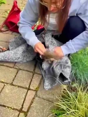 A girl rescues a squirrel and then…#cuteanimals #squirrel #cute #fyp