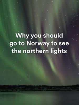 Why you should go to Norway to see the northern lights Of all the places to see the aurora borealis, Norway is easily one of our favorites. The northern stretches of the country meet the Arctic Circle, where dark, clear winter skies beckon this natural phenomenon. Dreaming of seeking out the northern lights while cruising through Tromso’s fjords, chugging through the mountains aboard the Arctic Train, and meeting indigenous Sami families in Narvik? Head to the link in our bio to explore our Northern Lights of Norway: Oslo to Tromso tour! #NorthernLights #AuroraBorealis #AuroraHunting #NorthernLightsMagic #AuroraChasing #NorthernLightsPhotography #AuroraAdventure #NorthernLightsNorway #VisitNorway #NorwayNature #NorwegianAdventure #ScenicNorway #ExploreNorway #NorwayTravel #NightSkyPhotography #StunningViews #NatureLovers #BucketListExperience #TravelMoments #NatureMagic