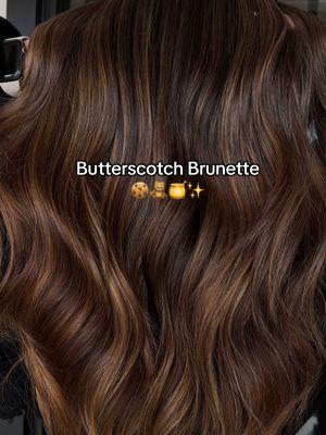 1 session going lighter from faded black/brown 😍 #honeybrown #honeybrunette #softbrunette #brunettebalayage #htxbalayage #balayageinspo 