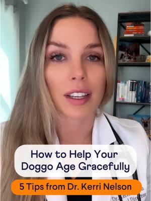 Here are 5 easy tips from @dr.kerrinelson to keep your senior dog feeling paw-sitively amazing as they grow older! 🐾🧡 Let us know any questions you have in the comments below ⬇️ #DogMomLife #SeniorDogs #viraltiktok #DogTips #finntastic #dogsoftiktok #hipandjoint 