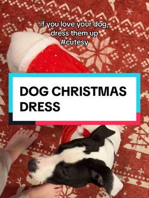 #fyp #cutesy #dogmom #dogsoftiktok #cute #dogclothes #cutedog #christmas #christmasdog #dogchristmascostumes 