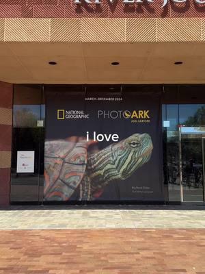 Every creature, big or small, deserves our attention. 🌎 Don’t miss your chance to explore the ink-credible Photo Ark exhibit at the Tennessee Aquarium! 🐟💙🐙 #tennesseeaquarium #chattanooga #photoark #natgeo #ilove #wildlife #nationalgeographic #conservation #joelsartore #CapCut 