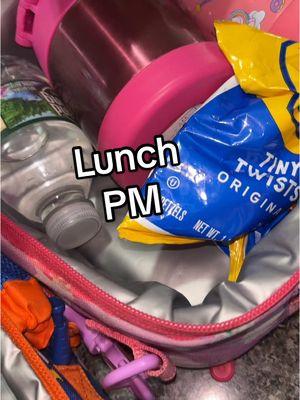 Replying to @Maria Amato RESULTS ARE IN!!! #lunchpacking #lunchideas #stanley #thermos #pickyeater #fyp 