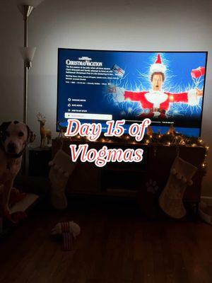 Day 15 of vlogmas 🎄 #sundayvlog#Vlogmas#dailyvlog#ditl#nationallampoonschristmasvacation#homemadetortillas#homemadeenchiladas#christmasmovie#militarywife#blueberrypancakes#movienight#wifelife#dogmom 