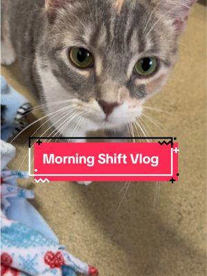 We love morning shifts😀❤️ #workvlog #kenneltech #vetclinic #animals #Vlog #fypシ #viral #futureveterinarian #cats #dogs 