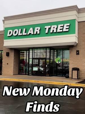 12/16- happy with the finds today! #dollartree #dollartreefinds #dollartreehaul #dollartreeshopwithme #dollartreenewfinds 