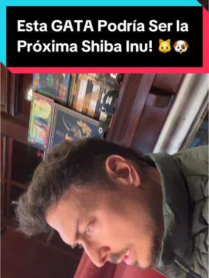 Esta GATA Podría Ser la Próxima Shiba Inu! 🐱🐶 Únete a CryptoMaster aquí: www.GlobalMastery.com/info #criptomonedas #ethereum #shibainu #shiro #shiba #shib #memecoin #shibarium  #memecoins #alexbecker  