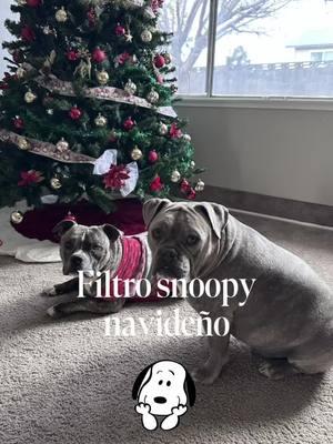 #filtrosnoopy #filtroia #feliznavidad #mamamexicana #faby #fyp #creciendoentiktok 