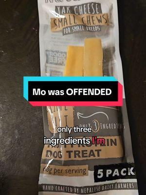 These really are high quality treats. The neighbors dog took off as soon as I gave her one. Mo is impossible to please.  #yakcheese #dogchew #puppy #snobbychihuahua #bougie #healthydogtreats #naturals 