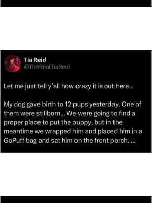 Stupid ass lady…. Thought she was stealing snacks and got a deceased puppy 🤦🏾‍♀️ I hope she had a damn CONNIPTION when she opened that bag 😒 #Thief #DogMom #PitMom #StillBorn #Breeding #GoPuff #REIDaboutit #fyp #explore #exploremore #breeder