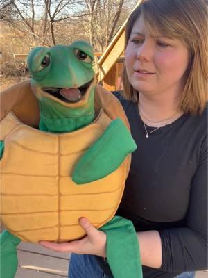 Looks like Crush is already set for the colder weather 😉  Dad joke credit: @Ed Casey  #ventriloquist #comedy #dadjoke #turtle 