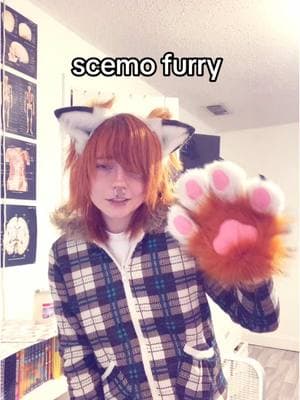 my sister pmo never shout never when i was in elementary school #me #cool #emoboy #sceneboy #scene #emo #scenekid #scenehair #emohair #nevershoutnever #alt #fyp #fypシ #foryoupage #xyzbca #furry #therian #kemonomimi #furryfandom #fox #foxboy 